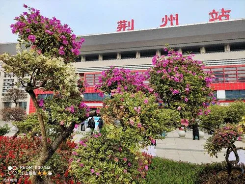 西安到荆州物流专线公司/2025