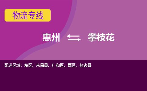 惠州到攀枝花西区物流公司